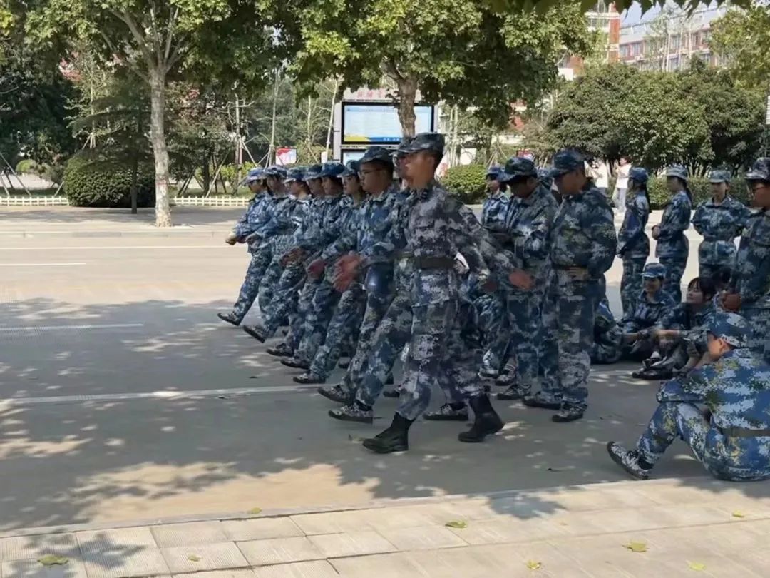 yl23455永利