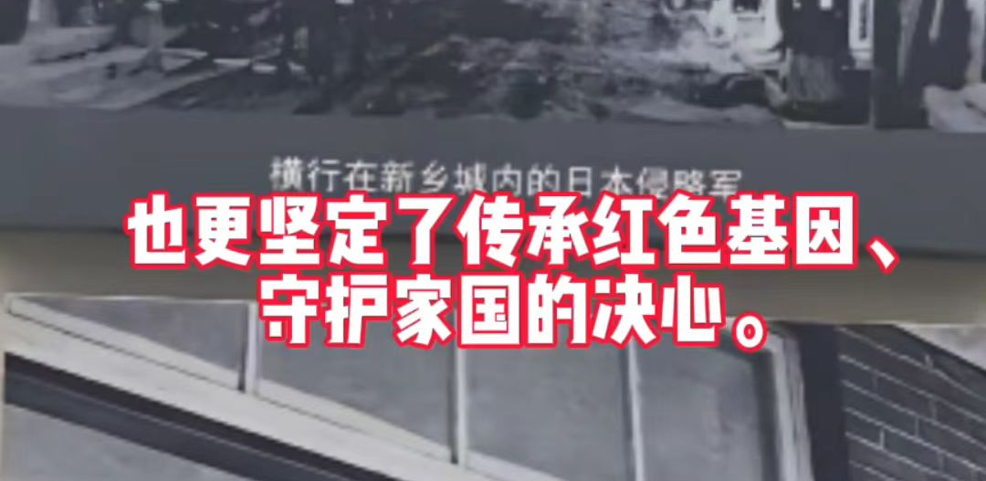 yl23455永利