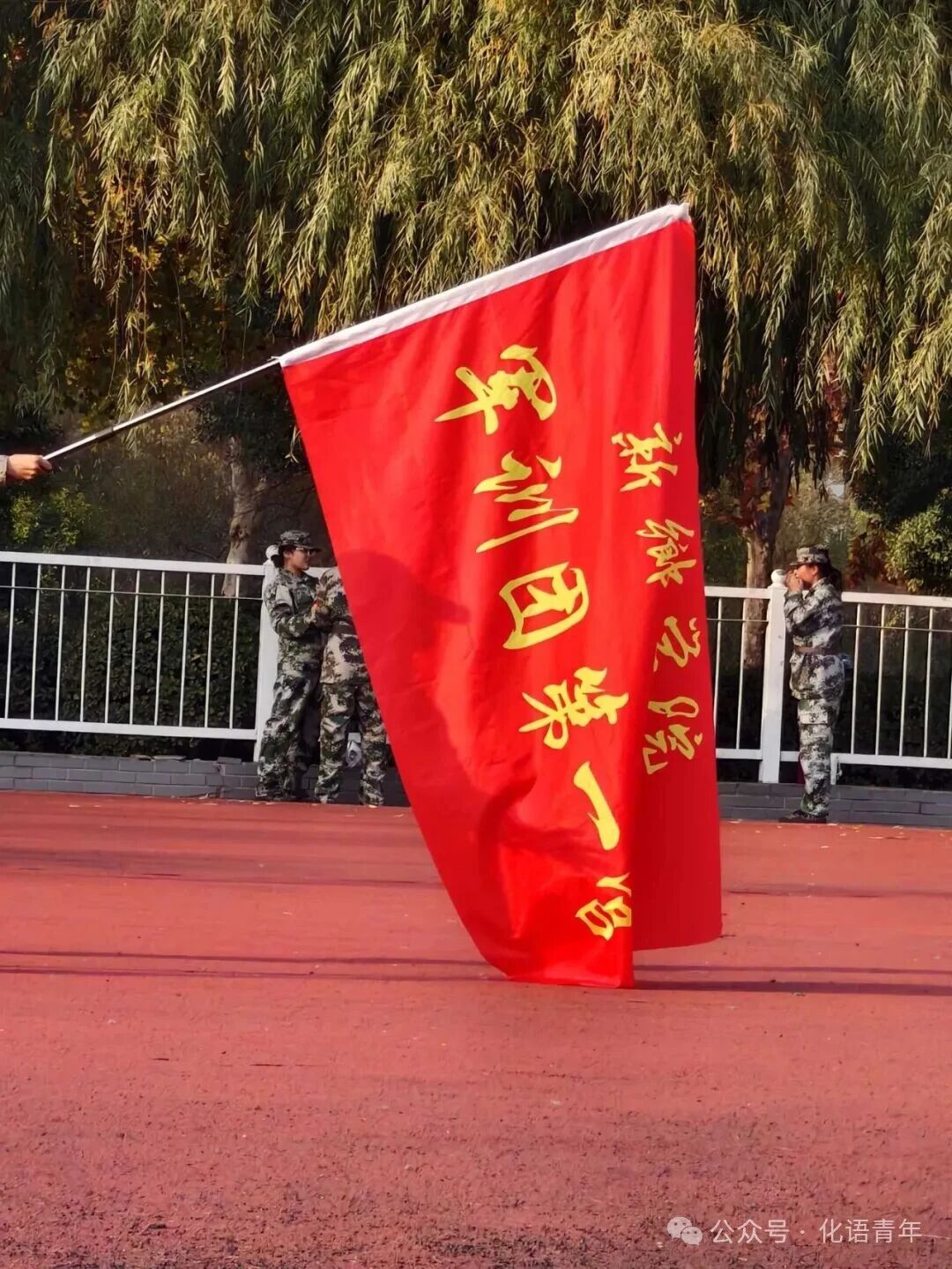 yl23455永利