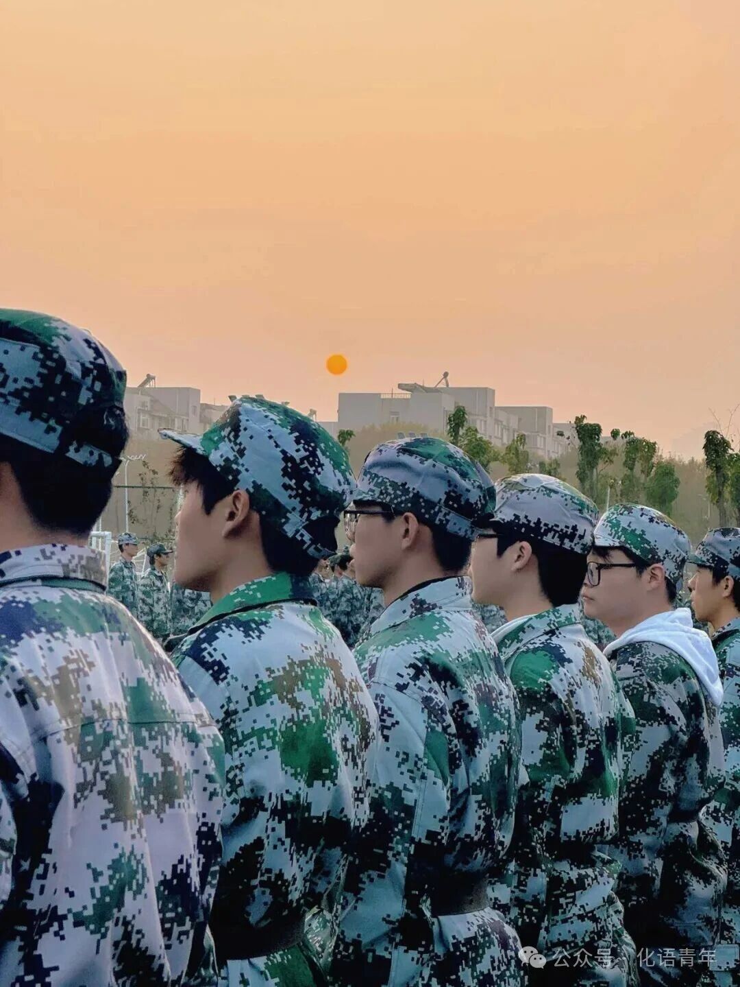 yl23455永利