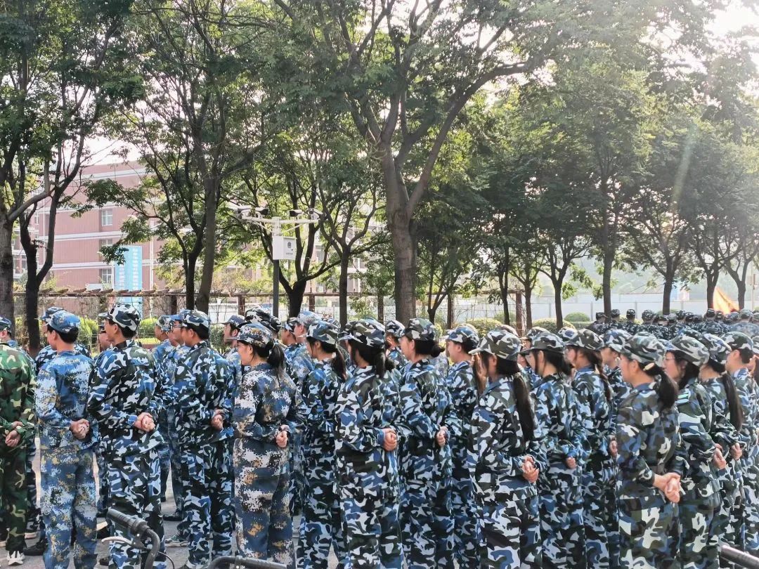 yl23455永利