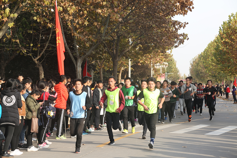 yl23455永利