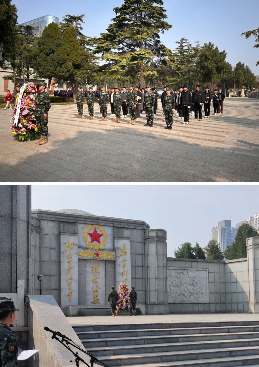 yl23455永利